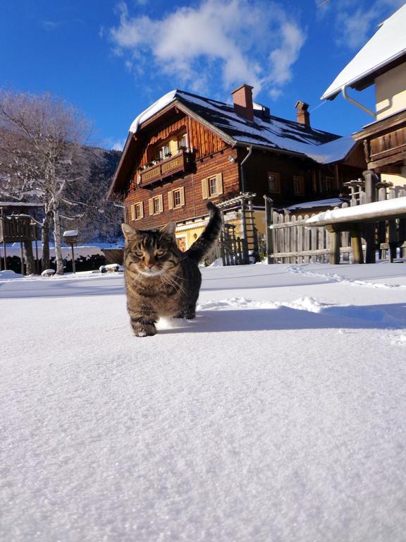 Gut Neusess Villa Mauterndorf  Eksteriør billede