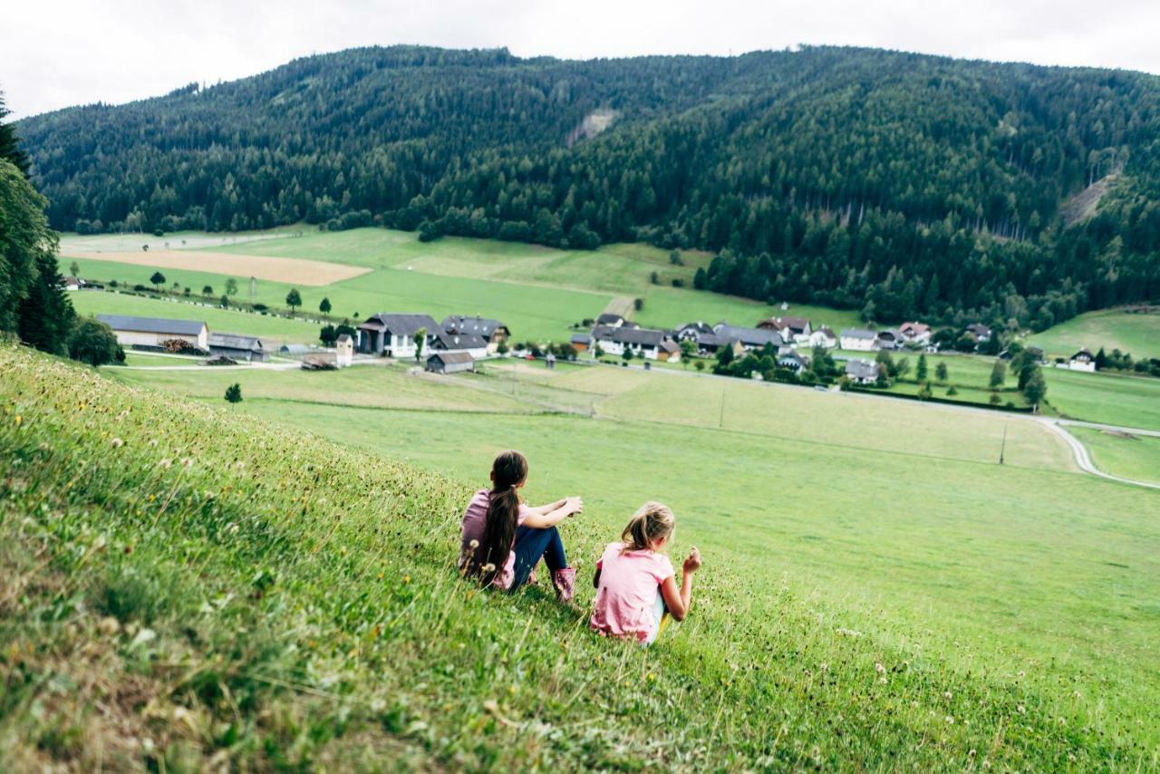 Gut Neusess Villa Mauterndorf  Eksteriør billede