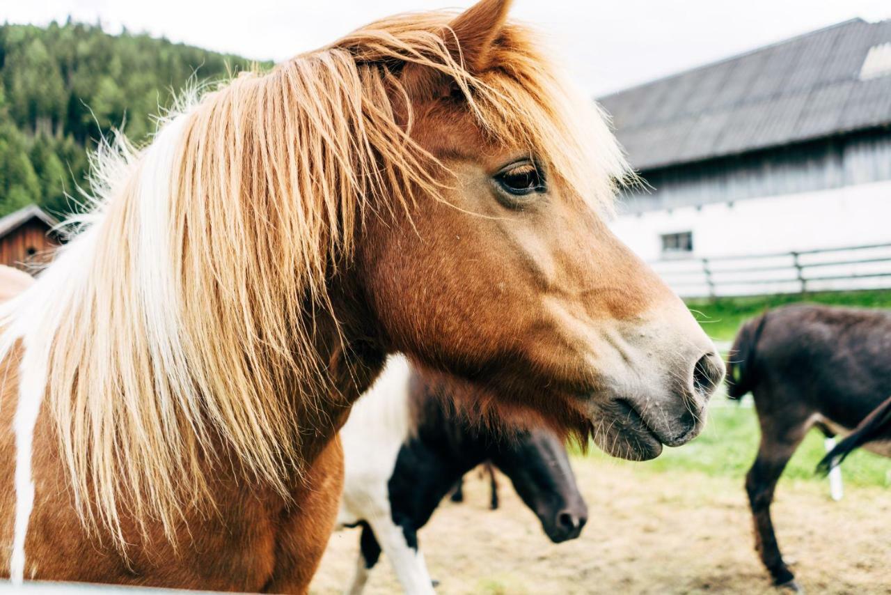 Gut Neusess Villa Mauterndorf  Eksteriør billede