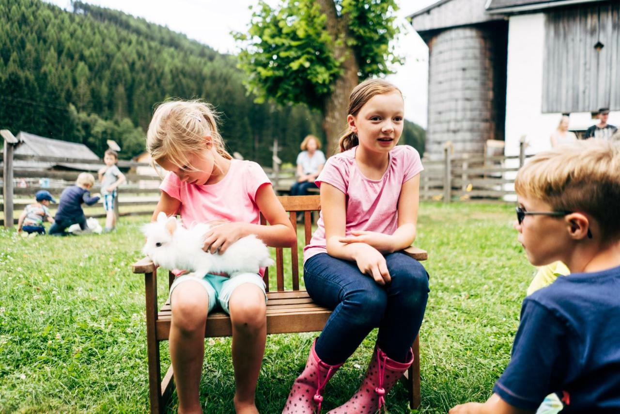 Gut Neusess Villa Mauterndorf  Eksteriør billede